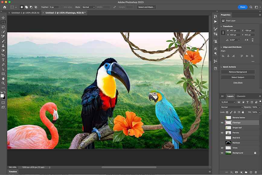 Adobe Photoshop