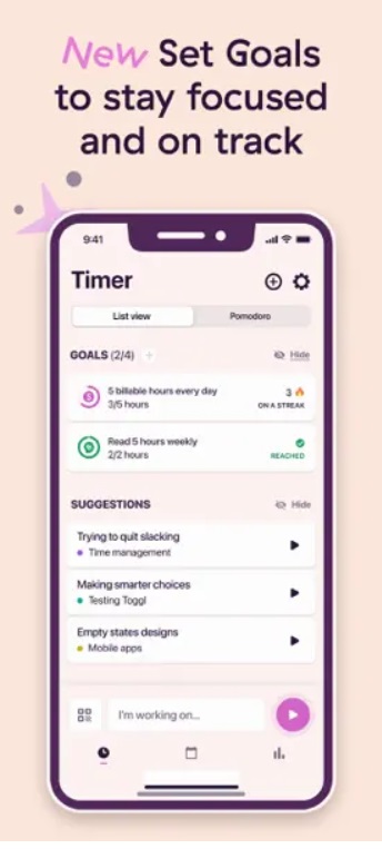 Toggl Track Hours and Time Log