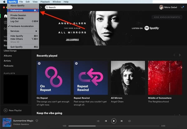 Spotify preferences