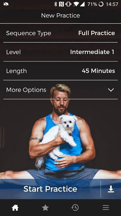 Down Dog