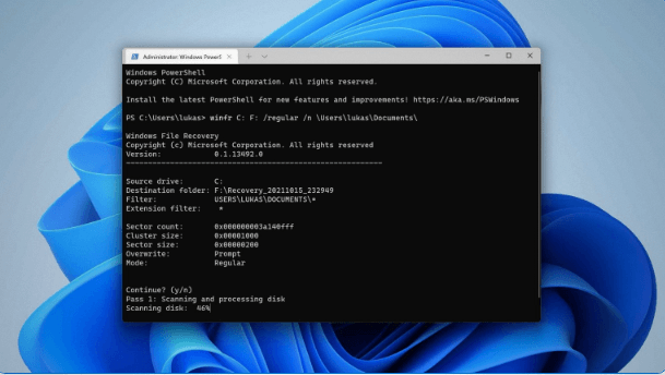 Windows Terminal option