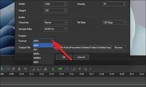 video format
