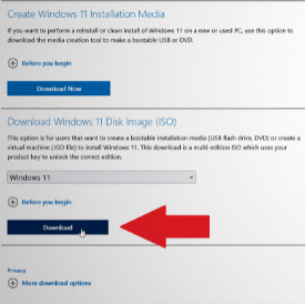 disk image