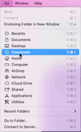 Clean Old Downloads