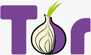 What is Onion