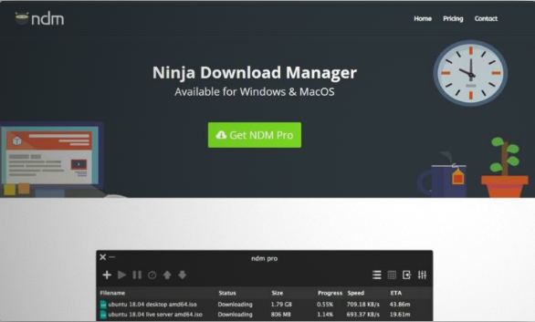 Ninja Download Manager