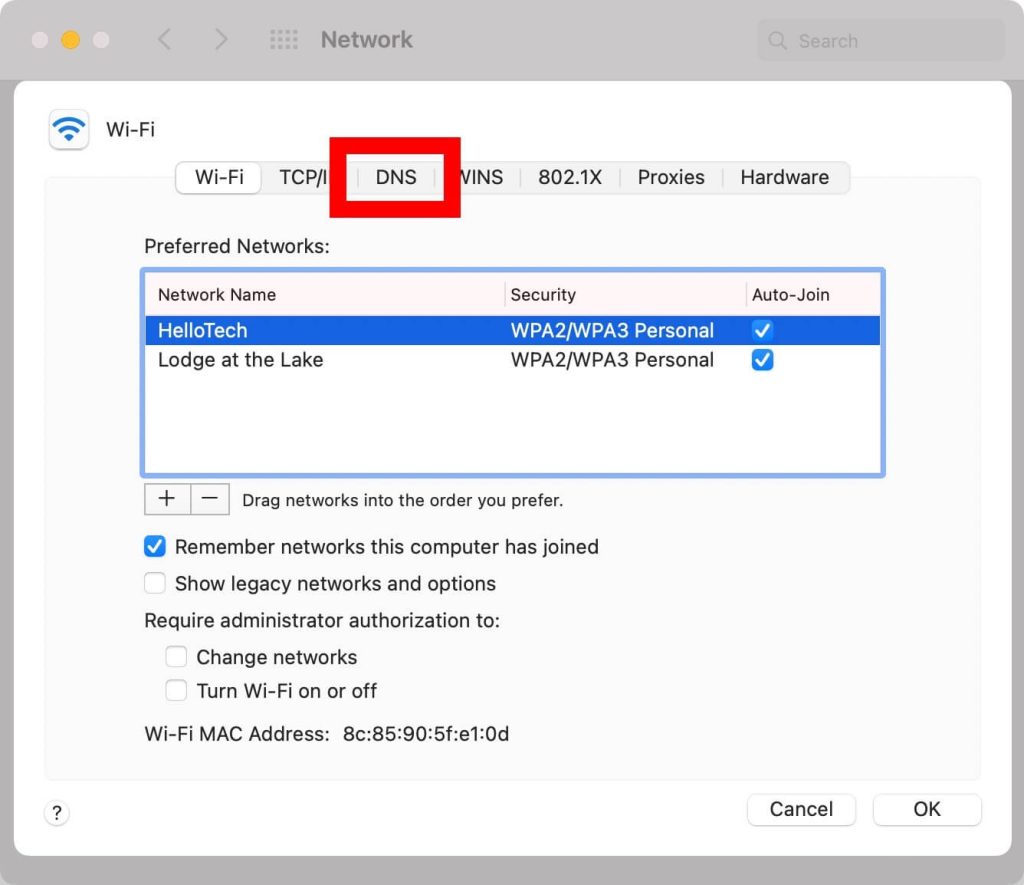 DNS tab