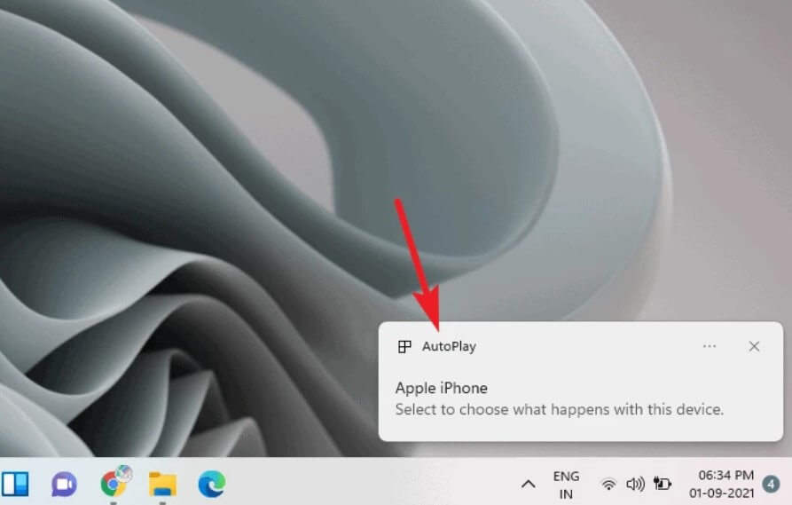 autoplay notification