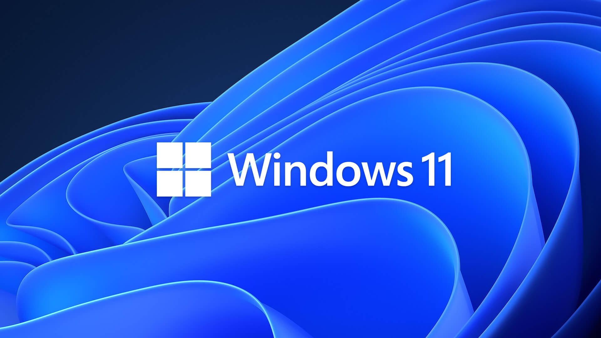 Fix Windows 11 Lag after the Update