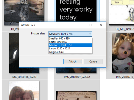 picture size