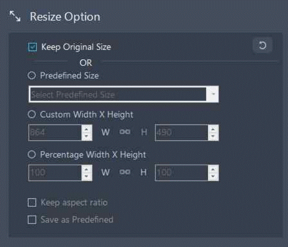 Resize button