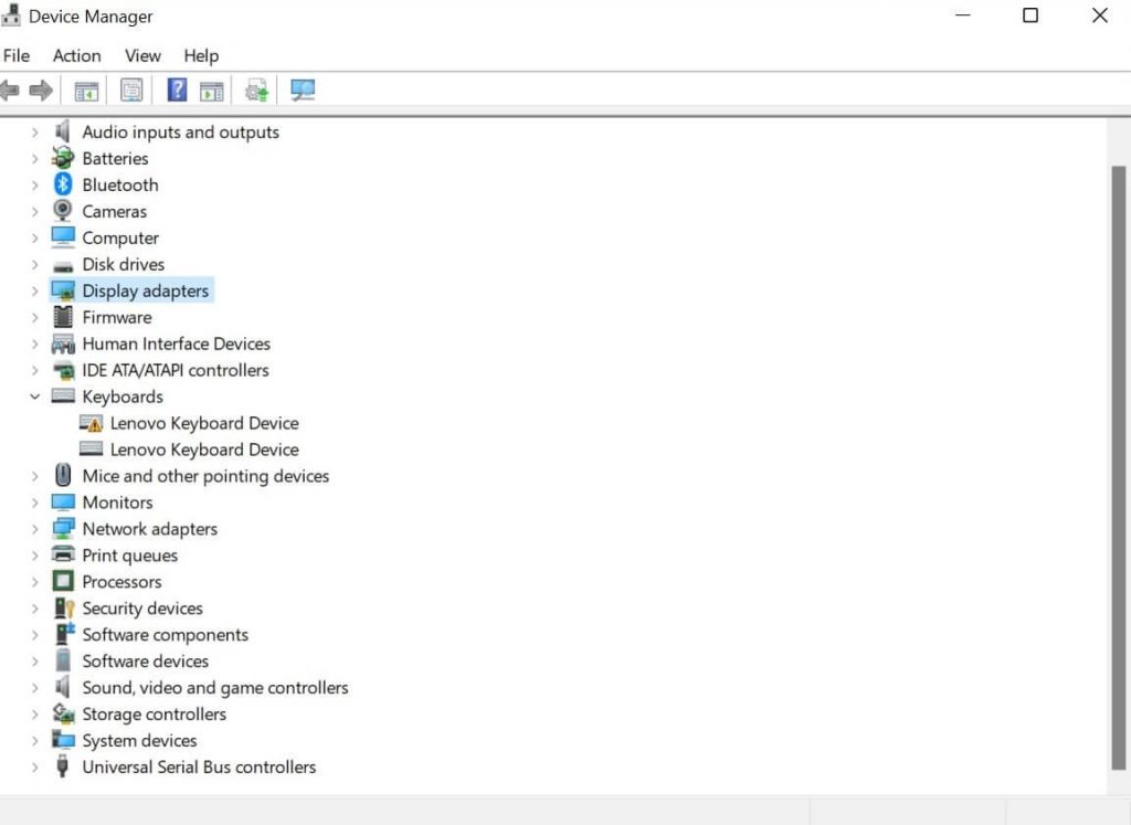 Display Adapter