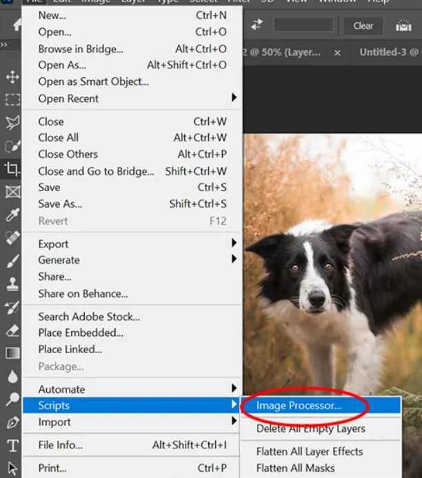 step 2 make same size with Photoshop