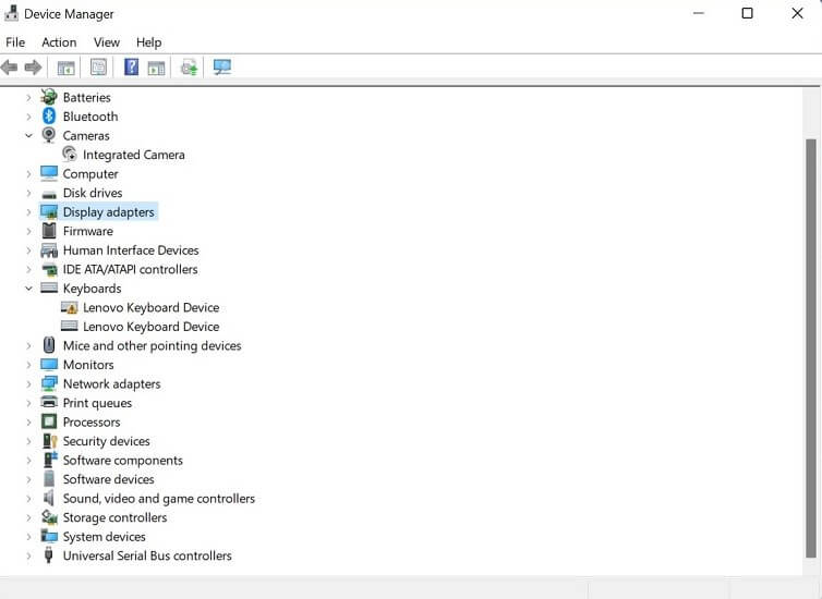 display adapters option