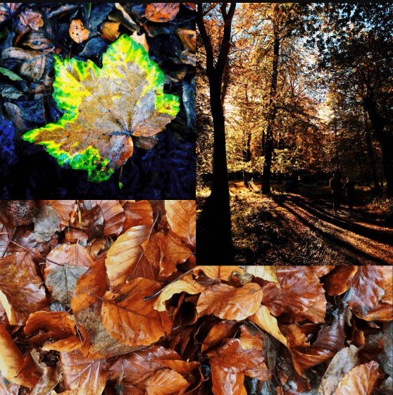 distance and close up shots
