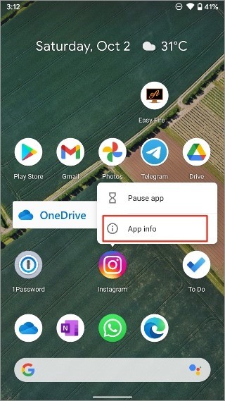 App Info