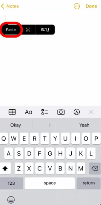 pasting the copied text