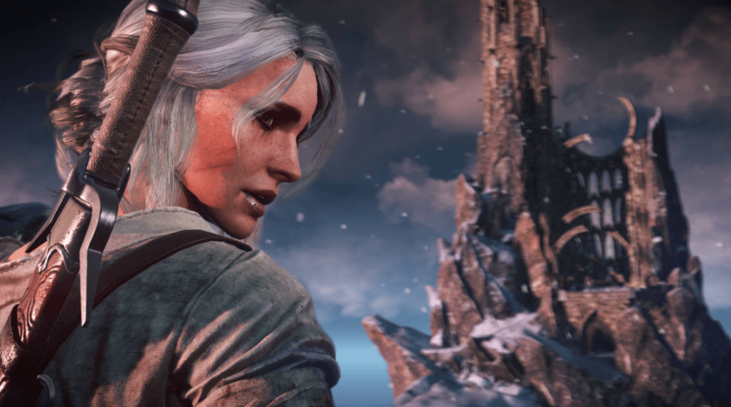  The Witcher 3- Wild Hint
