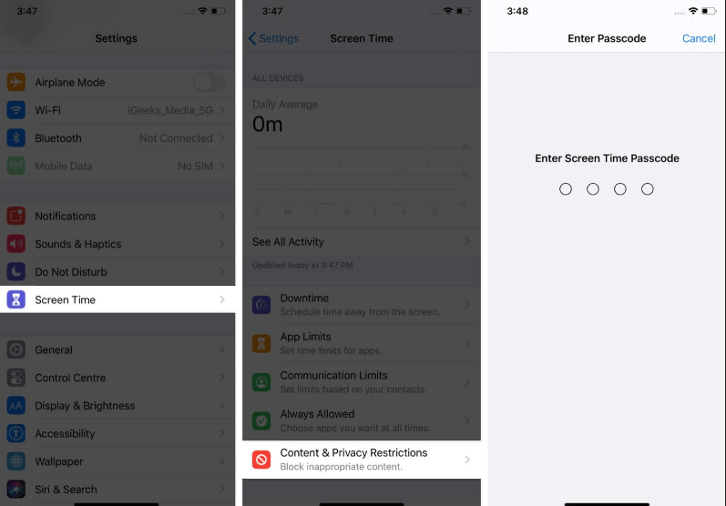 Content & Privacy Restrictions