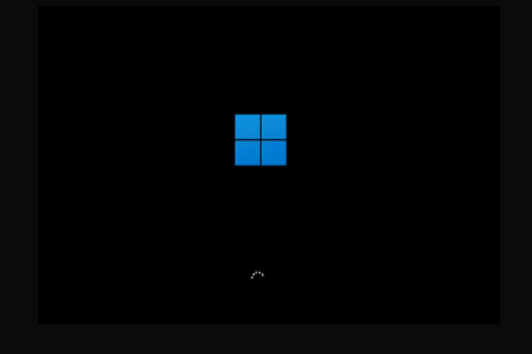Black Screen at Boot