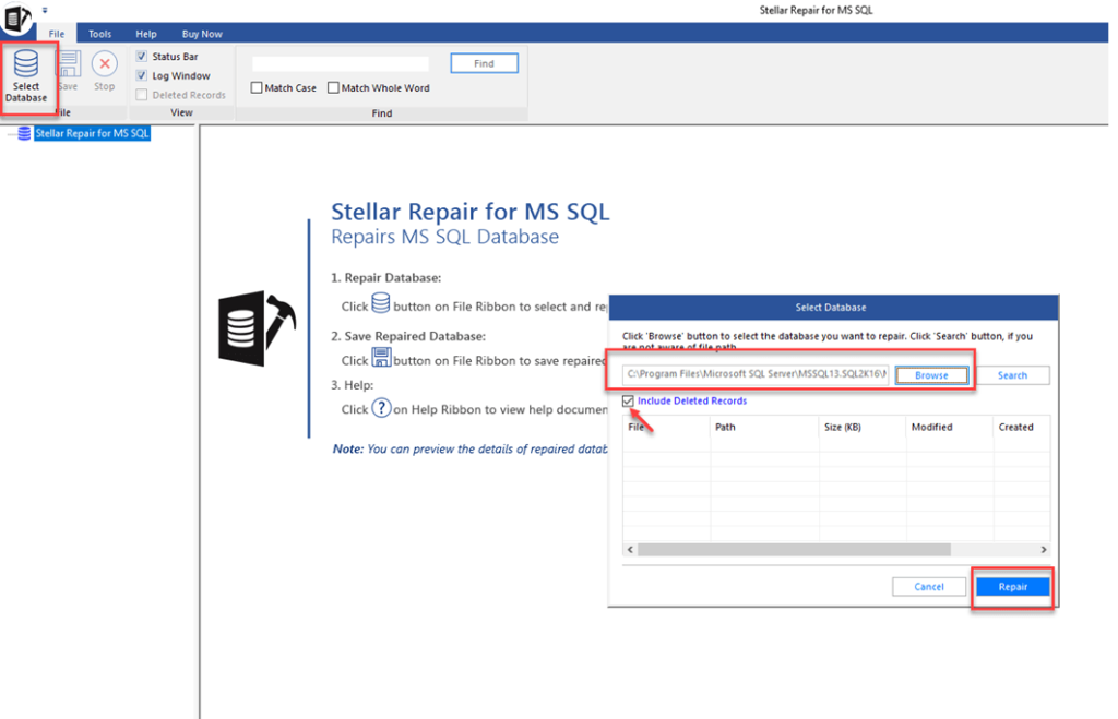 delete record recovery