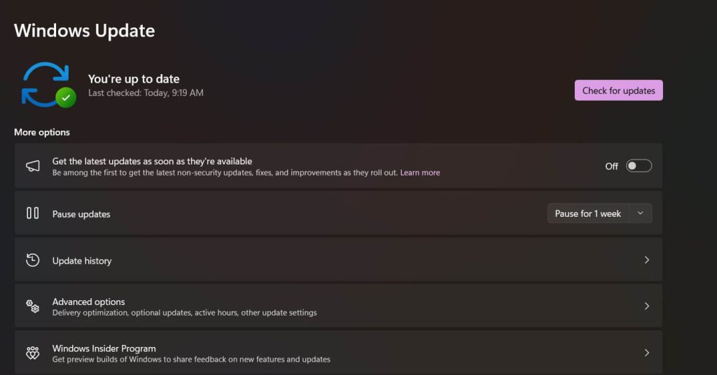 update windows
