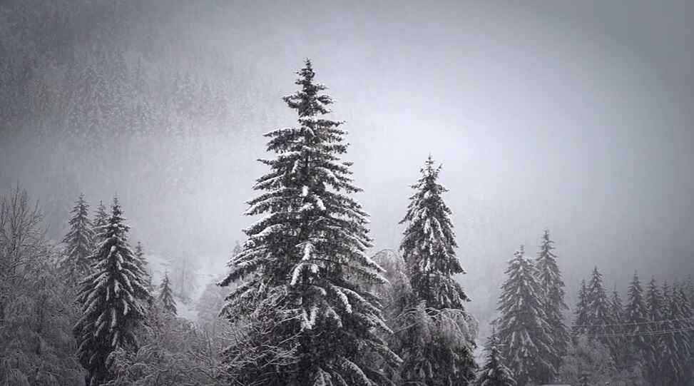 Winter Wonderland wallpaper for PC
