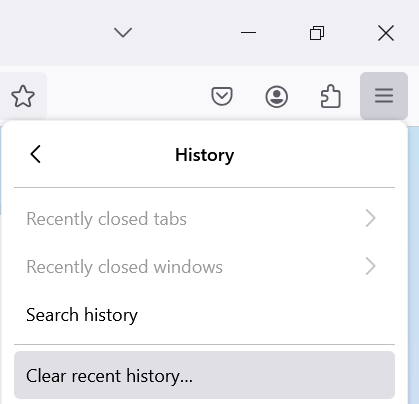 Clean recent history from Firefox