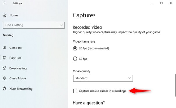 capture mouse cursor