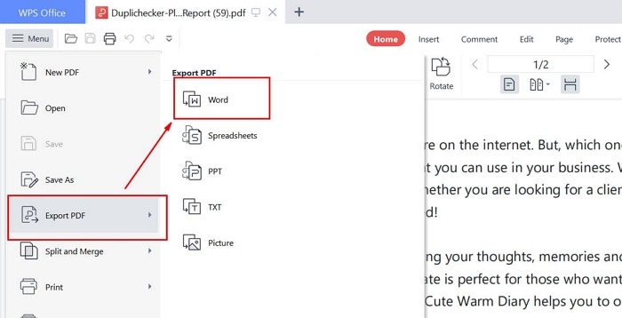 wps office pdf to word