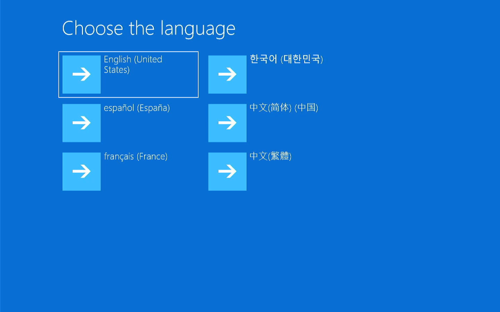 choose the language