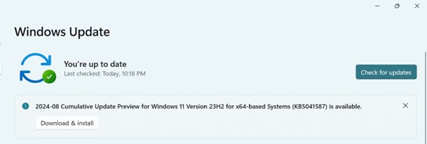 Check for Windows Update