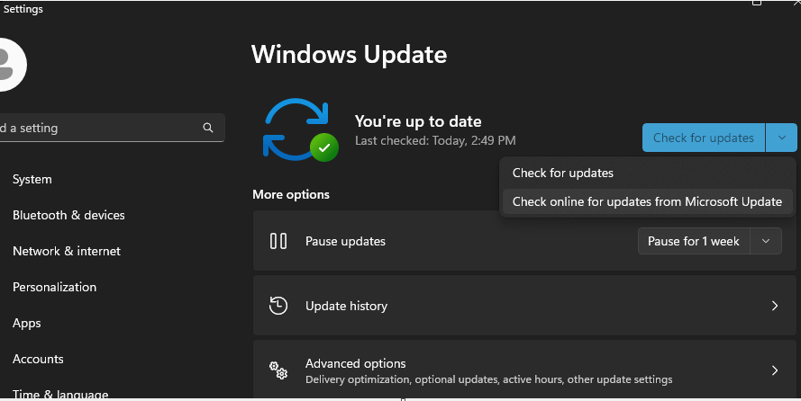 check for updates windows 11