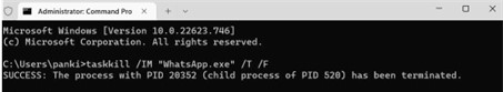 Kill the processes in CMD