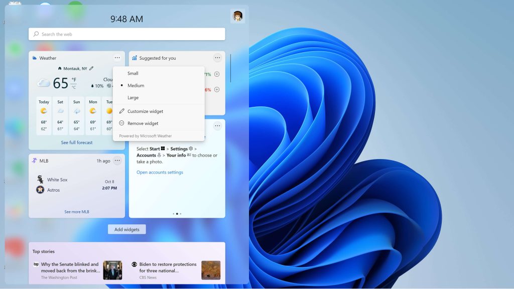 widgets windows