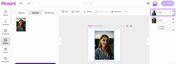 Picsart AI Background Remover