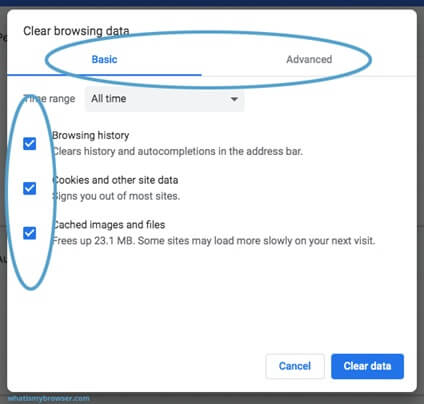 clear browsing data chrome